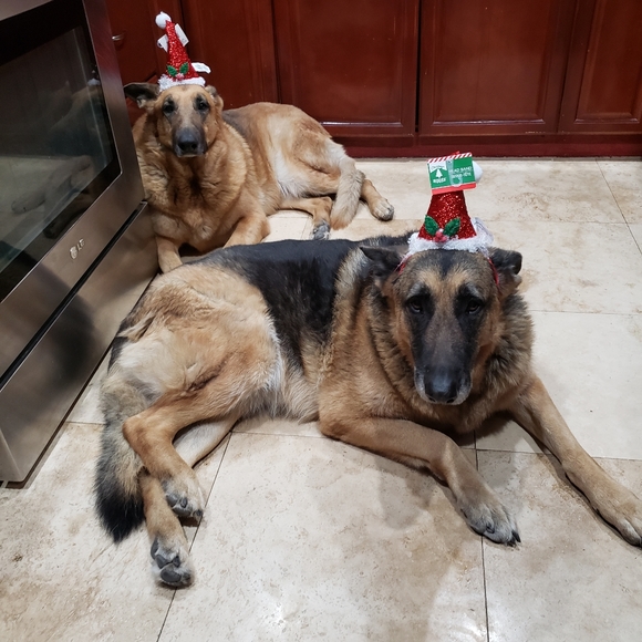 Meet your Posher, Nev - Picture 2 of 6